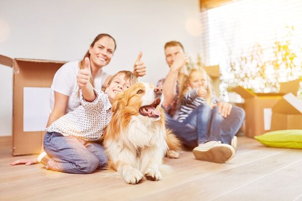 If Pets Had Thumbs Day 2023: cuándo es y cómo celebrarlo